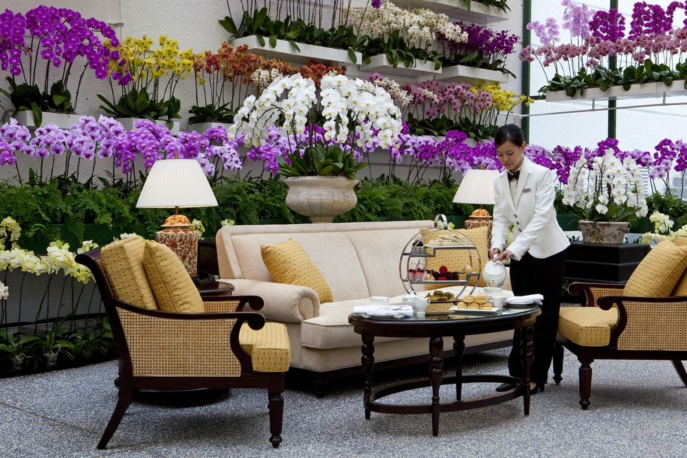 Terrace or Patio